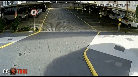 Кто выдал этим людям водительские права? (25 фото)