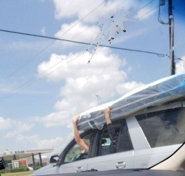 Кто выдал этим людям водительские права? (25 фото)