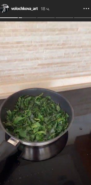 «Какая-то травка»: Отчаявшаяся Волочкова пытается избавиться от глистов заморскими растениями?
