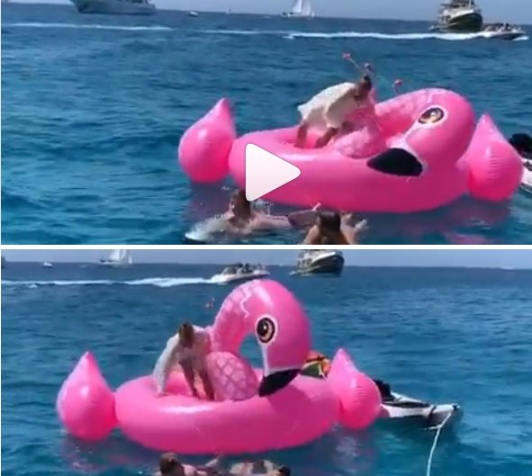 «Хотела сделать это стоя!» – «Пьяная» Барановская оконфузилась в море в Испании
