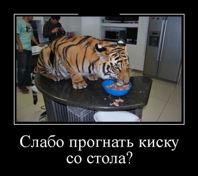 Новые демотиваторы про людей и животных