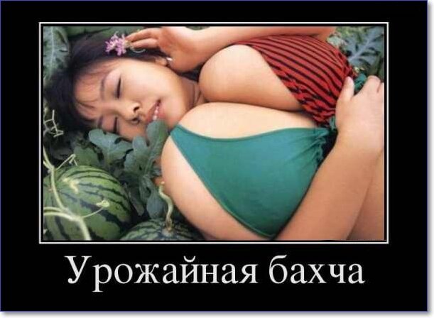 Демотиваторы пошлые про женщин (150 демок)