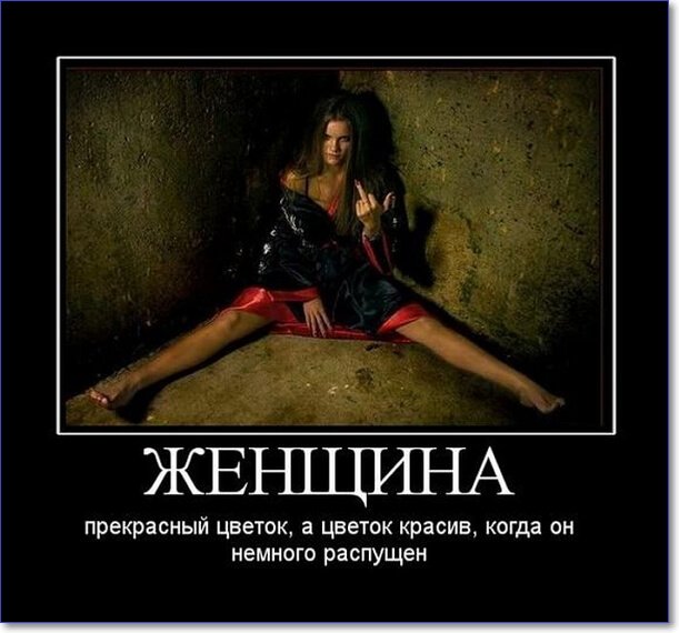 Демотиваторы пошлые про женщин (150 демок)