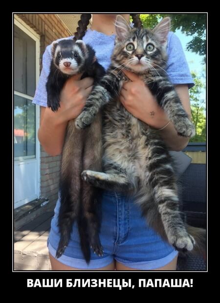 Классные демотиваторы сентября (30 демок)