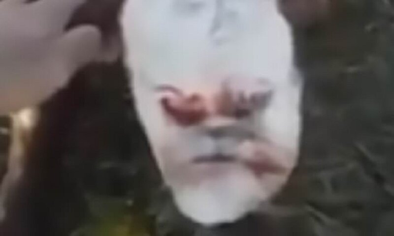 Теленок-мутант до смерти напугал фермеров (3 фото + 1 видео)