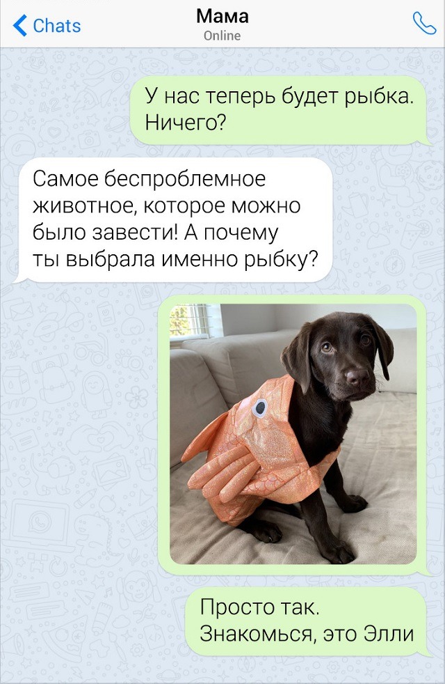 Забавные переписки с родителями (15 скриншотов)