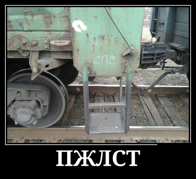 Новые демотиваторы про людей и животных