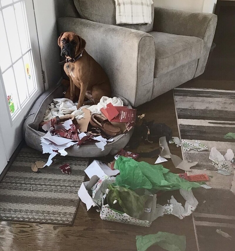 15 человек, которым нужно как-то пережить этот понедельник (16 фото) 15 человек, которым нужно как-то пережить этот понедельник (16 фото)