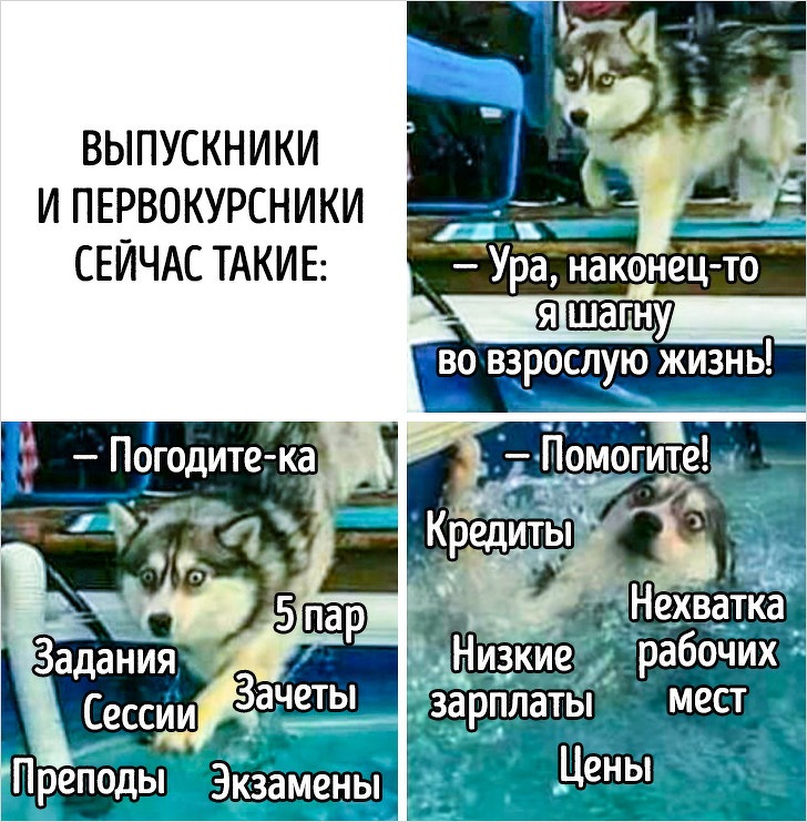 Приколы, которые не поймут иностранцы (13 фото)