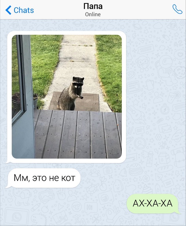 Забавные переписки с родителями (15 скриншотов)