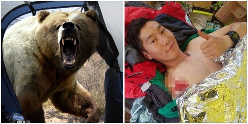 Под Магаданом медведь пришёл в палаточный лагерь и набросился на молодого исследователя (4 фото) Под Магаданом медведь пришёл в палаточный лагерь и набросился на молодого исследователя (4 фото)