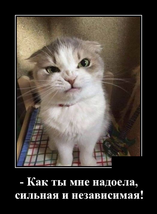 Новейшие демотиваторы октября 2023 (30 демок)