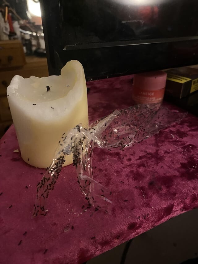 Неудачники, у которых каждый день - новая беда (15 фото)