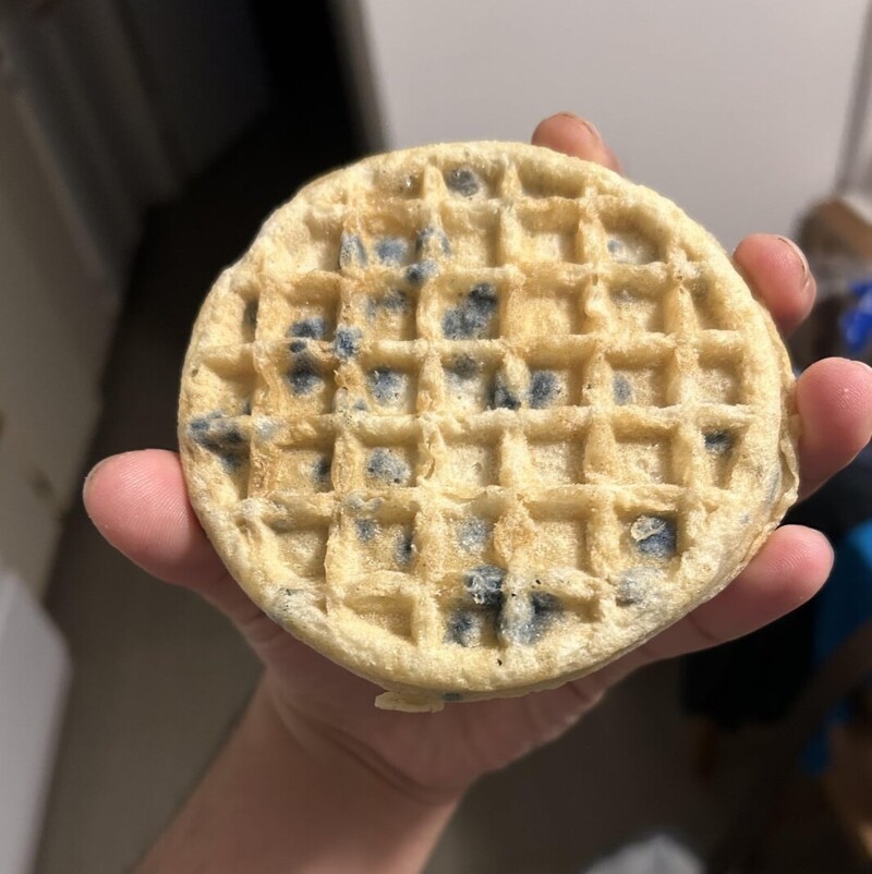 15 человек, которым нужно как-то пережить этот понедельник (16 фото) 15 человек, которым нужно как-то пережить этот понедельник (16 фото)