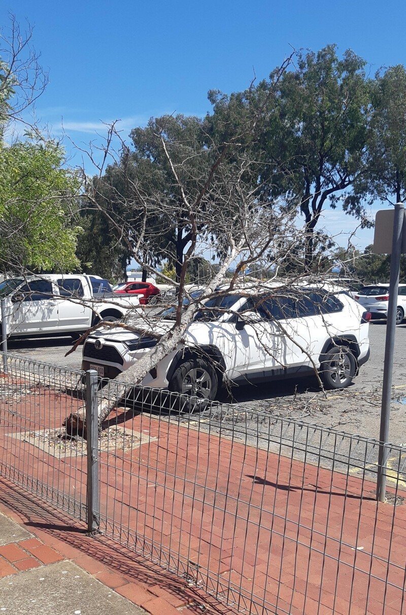 15 человек, которым нужно как-то пережить этот понедельник (16 фото) 15 человек, которым нужно как-то пережить этот понедельник (16 фото)