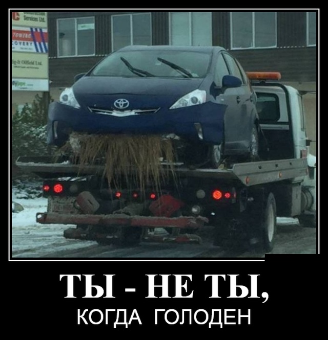 Новейшие демотиваторы октября 2023 (30 демок)
