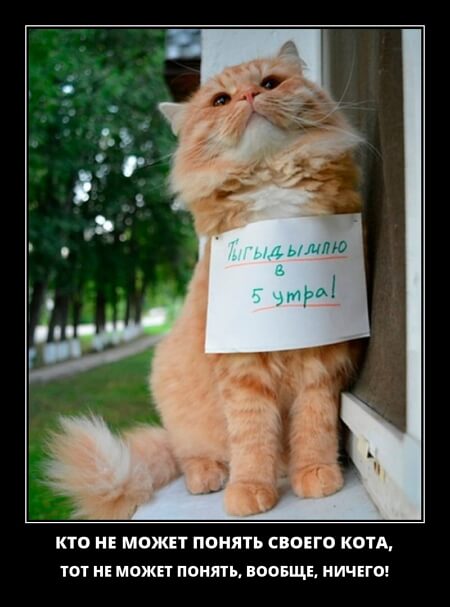 Классные демотиваторы сентября (30 демок)