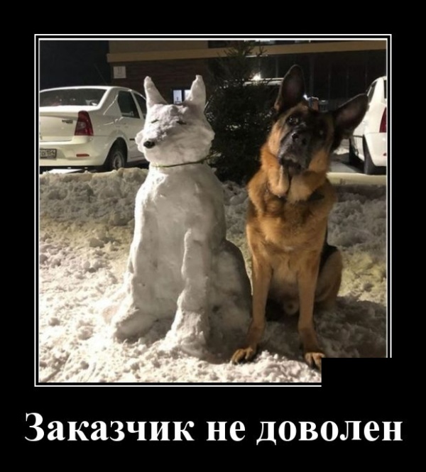 Новые демотиваторы про людей и животных