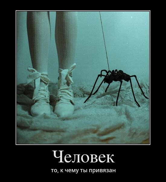 Классные демотиваторы сентября (30 демок)