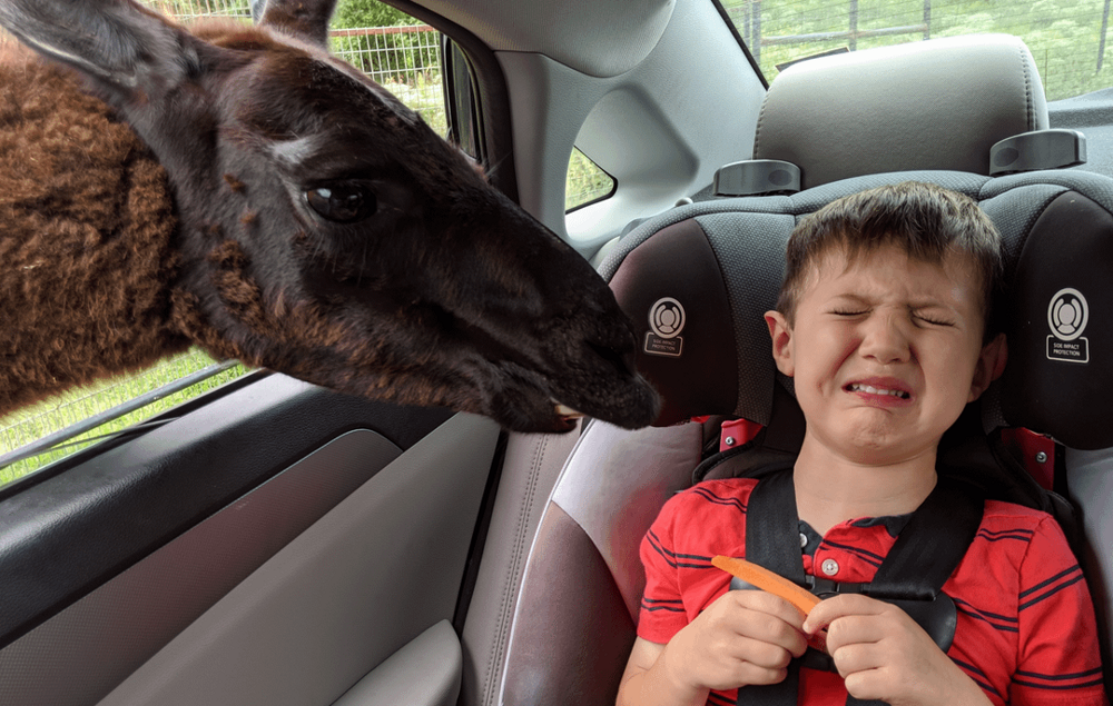 15 человек, которым нужно как-то пережить этот понедельник (16 фото) 15 человек, которым нужно как-то пережить этот понедельник (16 фото)