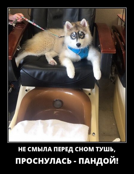 Классные демотиваторы сентября (30 демок)