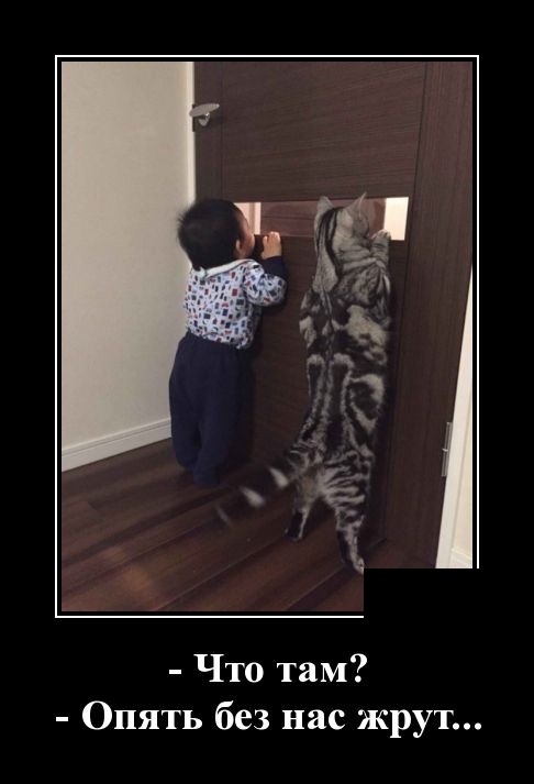 Новые демотиваторы про людей и животных