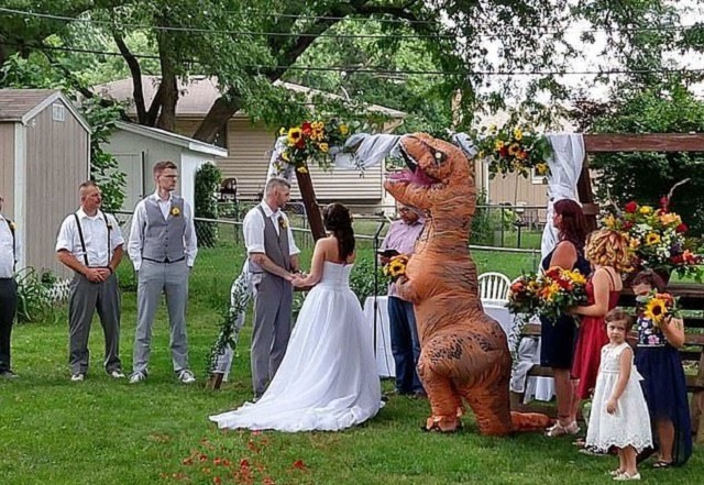 Когда фразу "одевайся как хочешь" воспринимают слишком буквально (4 фото + видео)