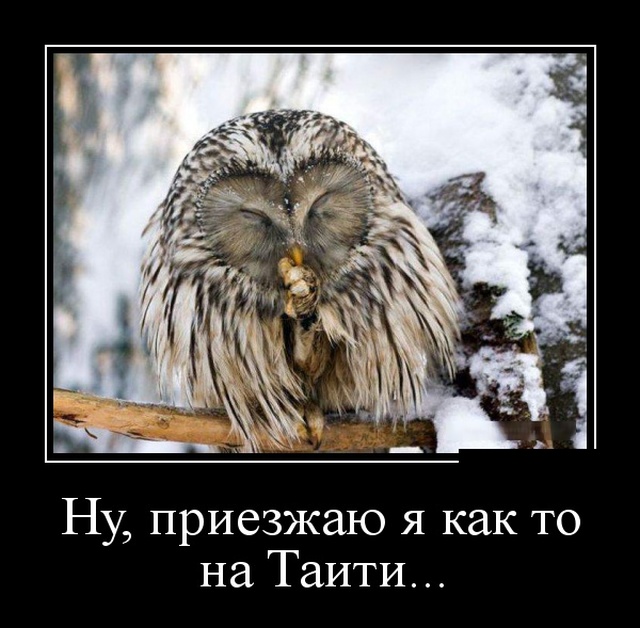 Новые демотиваторы про людей и животных