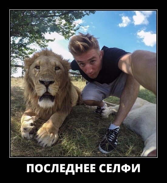 Классные демотиваторы сентября (30 демок)