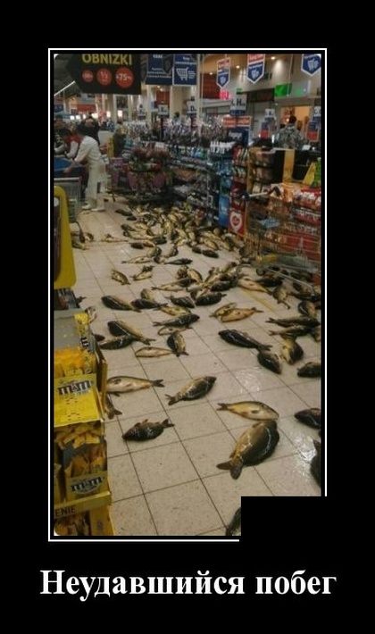 Новые демотиваторы про людей и животных