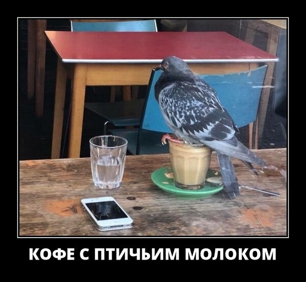 Классные демотиваторы сентября (30 демок)