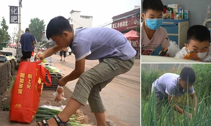 Мальчик выращивает и продает лук, чтобы спасти младшего брата (4 фото + 1 видео)