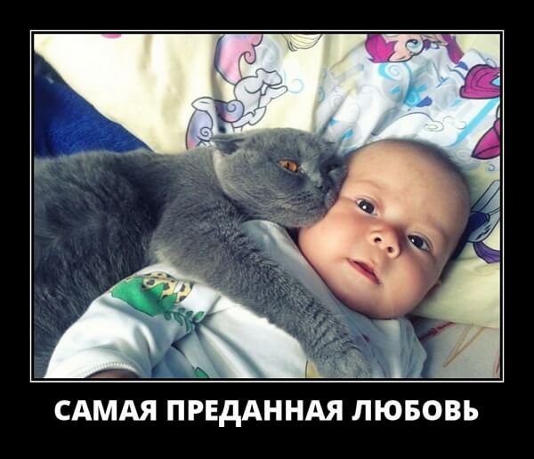 Классные демотиваторы сентября (30 демок)