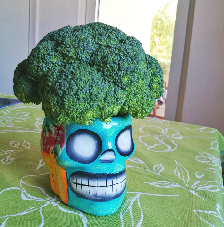 Интересные и немного безумные примеры народной смекалки (18 фото)