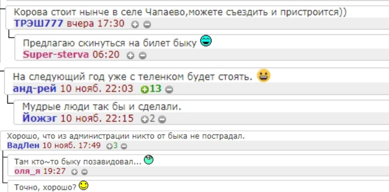 Бык нашел себе возлюбленную, а ее уволили с работы (3 фото и видео)