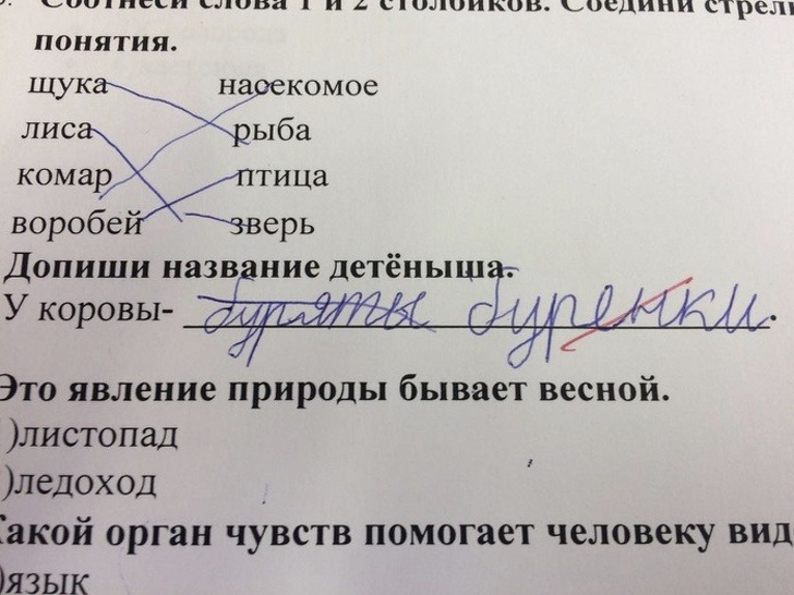 Ох, уж эта детская непосредственность (18 фото)