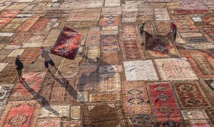 Остроумные подписи под забавными фотографиями (15 фото)