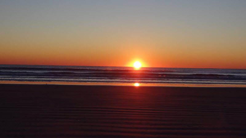 25 самых странных вещей, проданных на eBay (25 фото)