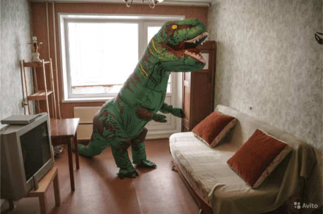 Оригинальное объявление о сдаче квартиры в Тюмени (10 фото)