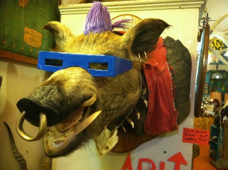 Кабаны из Италии устроили вечеринку с кокаином (2 фото) Кабаны из Италии устроили вечеринку с кокаином (2 фото)