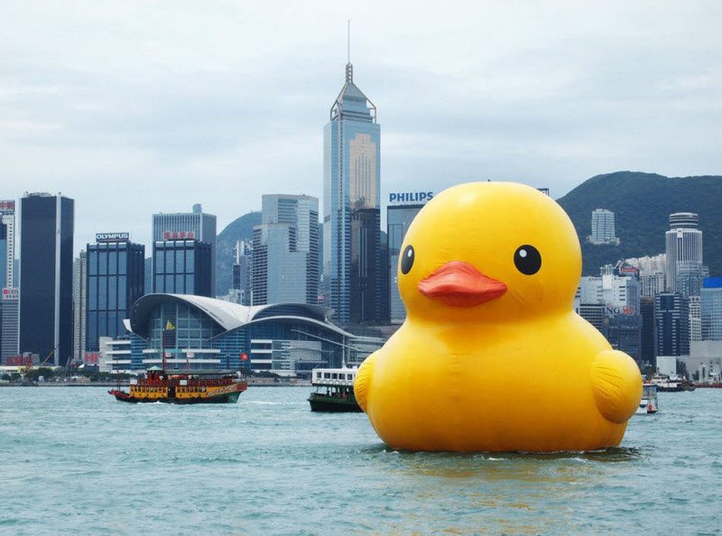 25 самых странных вещей, проданных на eBay (25 фото)