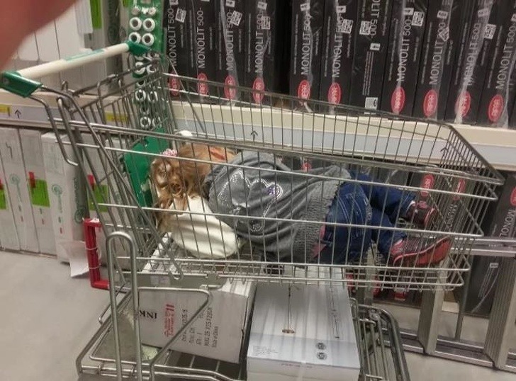 Ох, уж эта детская непосредственность (18 фото)