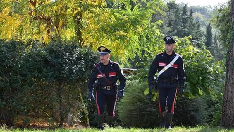 Кабаны из Италии устроили вечеринку с кокаином (2 фото) Кабаны из Италии устроили вечеринку с кокаином (2 фото)