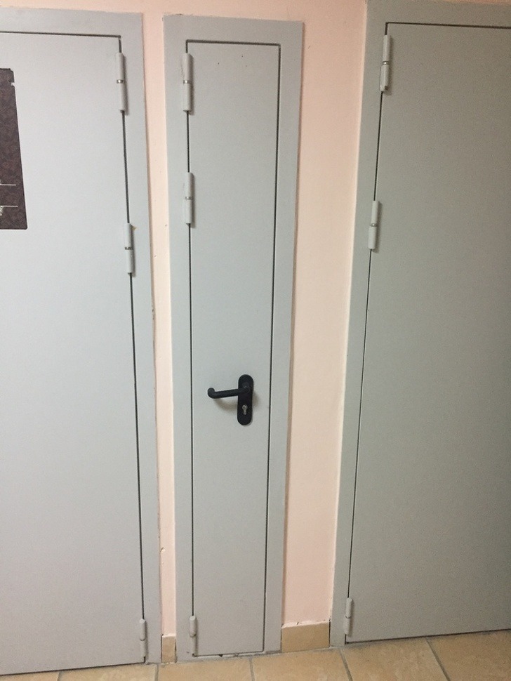 Остроумные подписи под забавными фотографиями (15 фото)