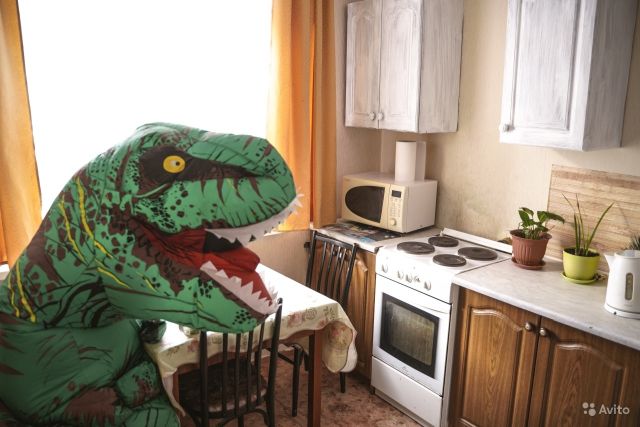 Оригинальное объявление о сдаче квартиры в Тюмени (10 фото)