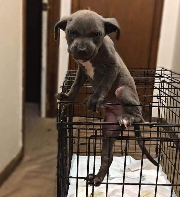 Остроумные подписи под забавными фотографиями (15 фото)