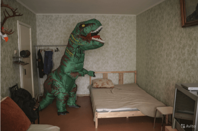 Оригинальное объявление о сдаче квартиры в Тюмени (10 фото)