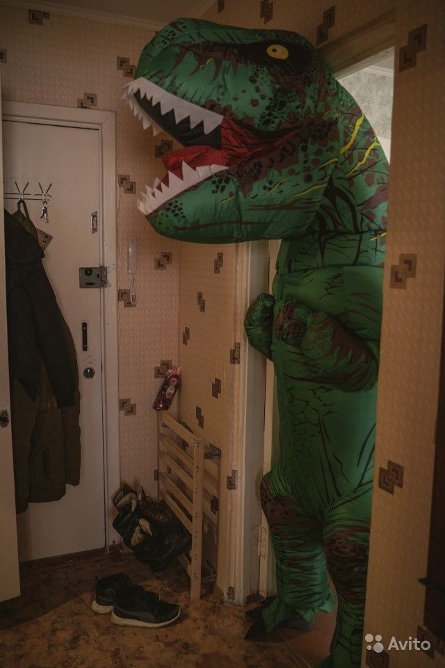 Оригинальное объявление о сдаче квартиры в Тюмени (10 фото)