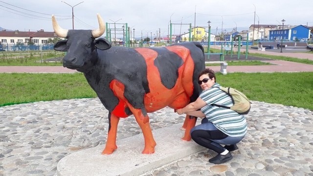 Бык нашел себе возлюбленную, а ее уволили с работы (3 фото и видео)