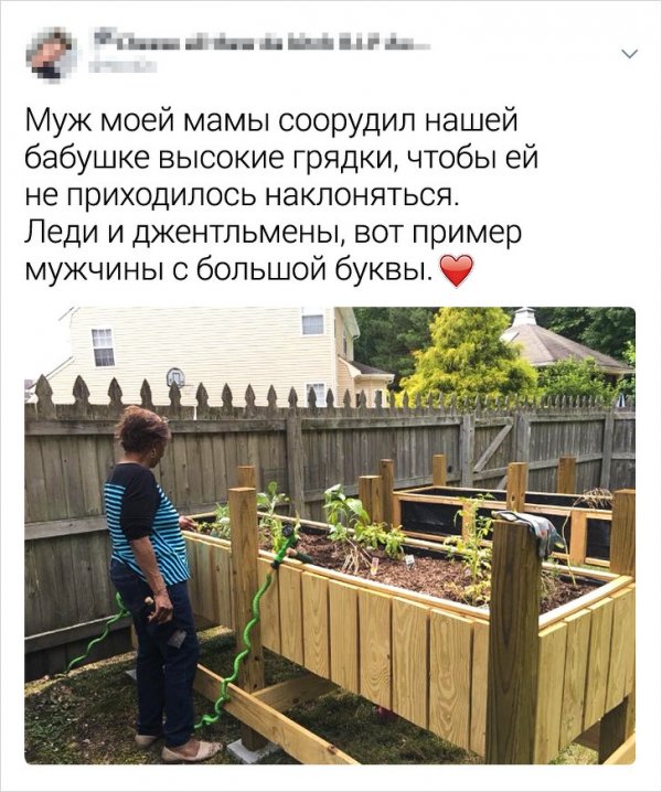 Забавные и романтические твиты (15 фото)